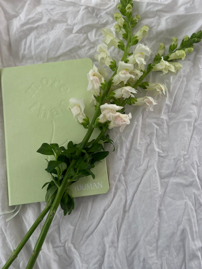 More Than Journal:                                        An Anxiety-Reducing Practice